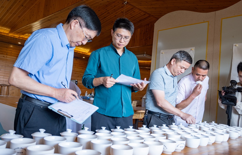 德化第三届戴云山茶斗茶赛暨茶席茶器美学展举办 - 憨鼠网