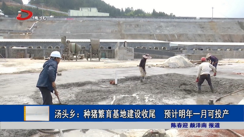 汤头乡：种猪繁育基地建设收尾 预计明年一月可投产 - 憨鼠网