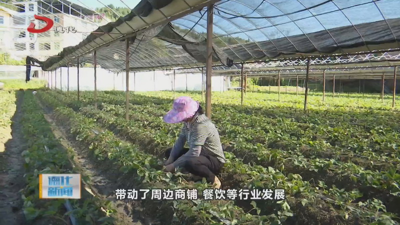 雷峰镇蕉溪村：唤醒沉睡资源 打造百万村财产业带 - 憨鼠网