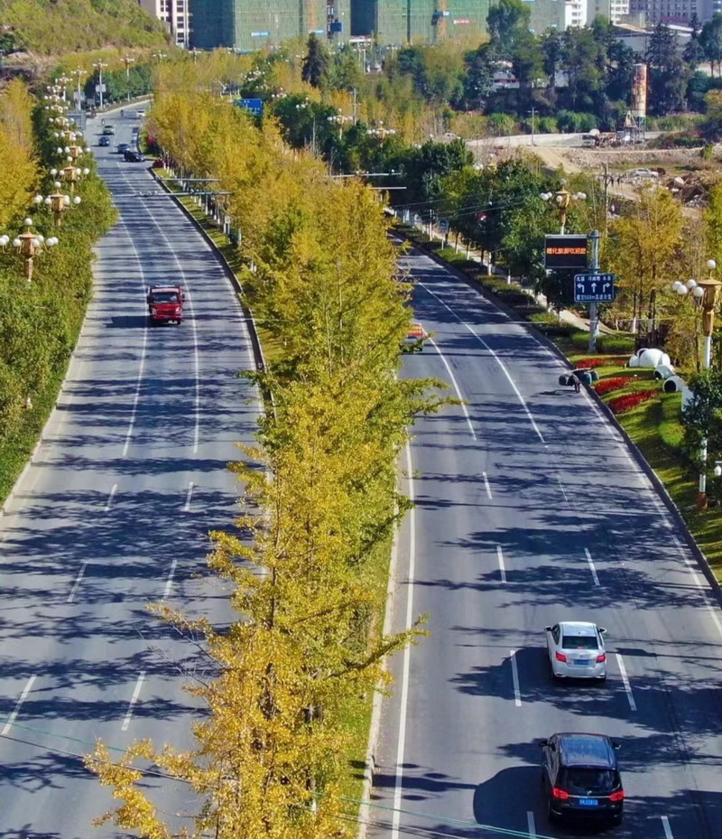 德化省道215线即将迎来“醉美”时刻 - 憨鼠网