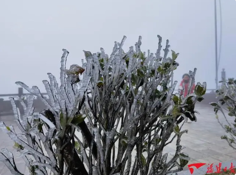 德化九仙山迎来今年冬天首场雾凇 - 憨鼠网