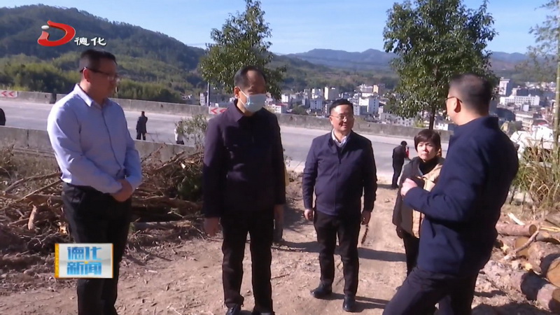 市领导到我县调研林业工作暨开展林长巡林活动 - 憨鼠网