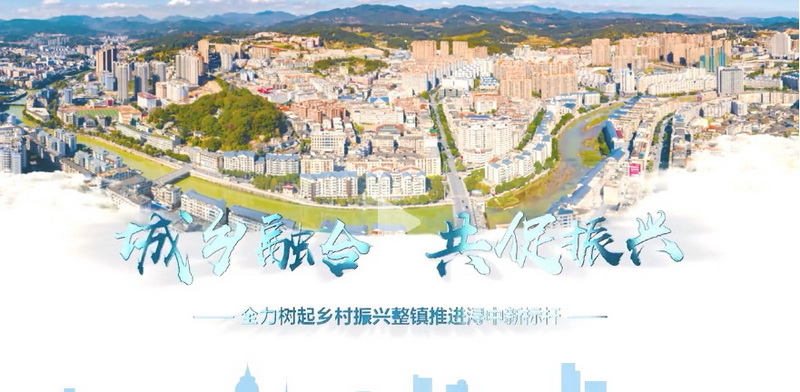 浔中镇：城乡共建整镇共享 打造瓷都乡村振兴新标杆 - 憨鼠网