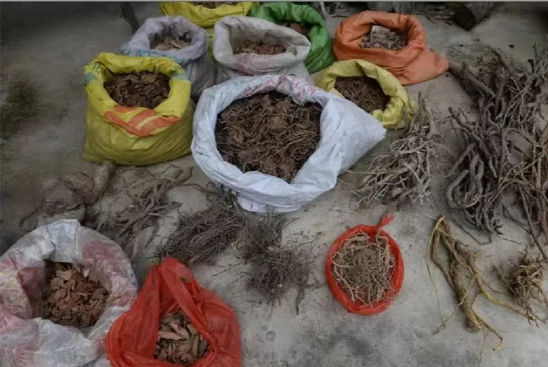 一碗百草汤 养护一方人 - 憨鼠网