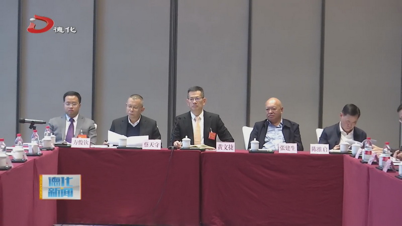 我县的市人大代表出席市十七届人大三次会议 - 憨鼠网