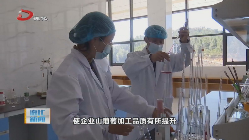汤头乡：科技特派员服务企业 助力山葡萄酒品质再提升 - 憨鼠网