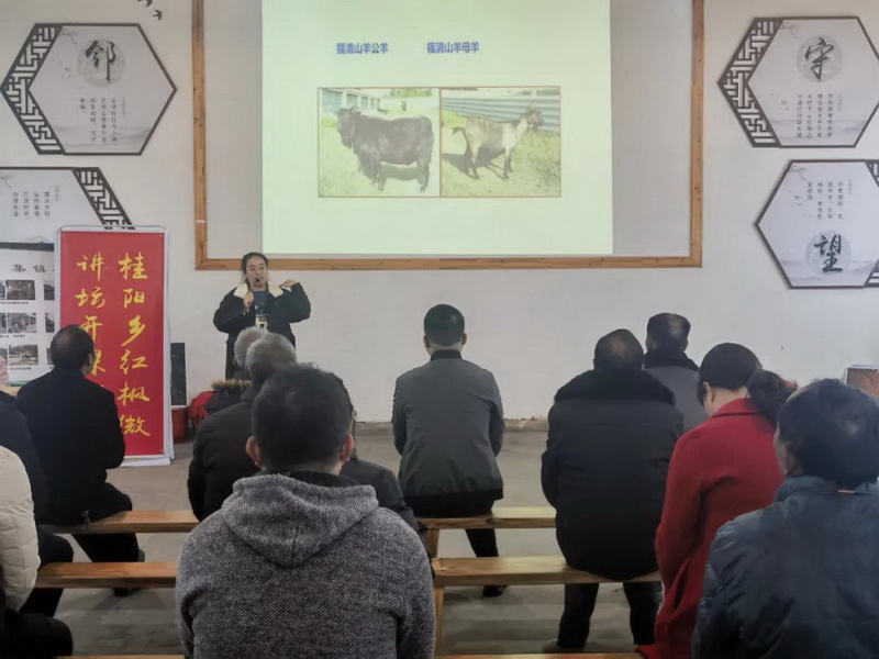 “书香桂阳”进“邻里” 走“新”更走“心” - 憨鼠网