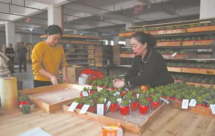 德化：陶瓷企业纷纷开启复工复产的忙碌模式 - 憨鼠网