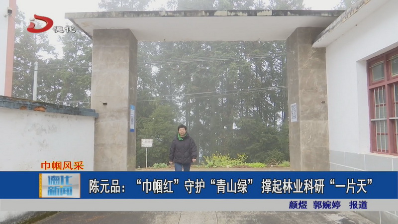 陈元品：“巾帼红”守护“青山绿” 撑起林业科研“一片天” - 憨鼠网