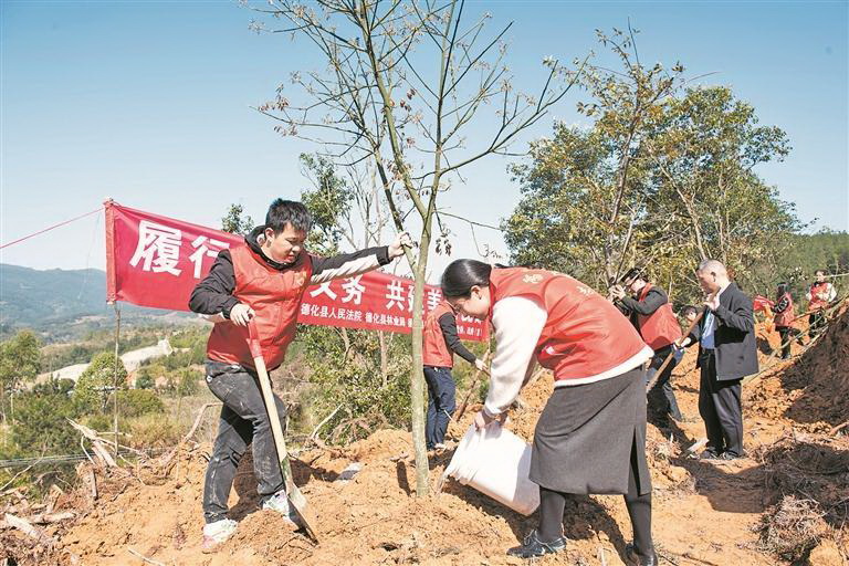 春风吹新绿 植树正当时 - 憨鼠网