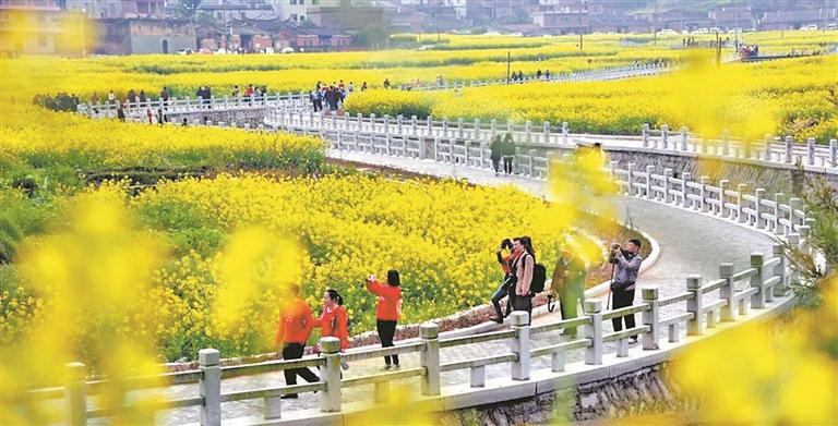 春暖花开，诸多赏花地成为热门打卡点——赏花游火热“出圈” - 憨鼠网