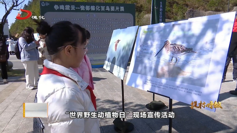 戴云山国家级自然保护区管理局：坚持“三向发力” 擦亮生物多样性生态底色 - 憨鼠网