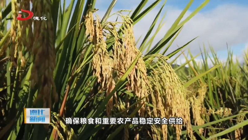 县农业农村局：推动乡村全面振兴迈上新台阶 - 憨鼠网