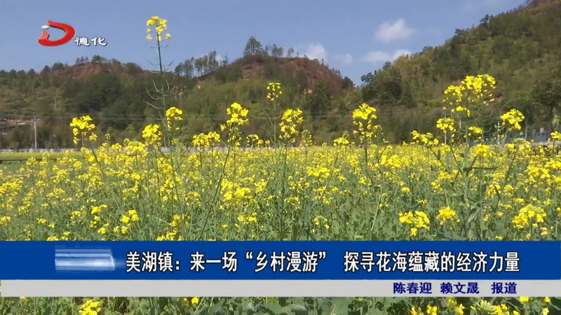 美湖镇：来一场“乡村漫游” 探寻花海蕴藏的经济力量 - 憨鼠网