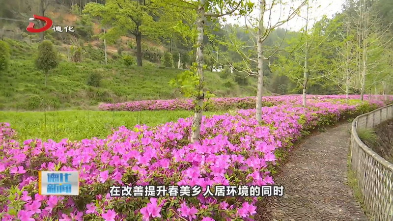 春美乡：母亲花田杜鹃花开 四季皆景等客来 - 憨鼠网