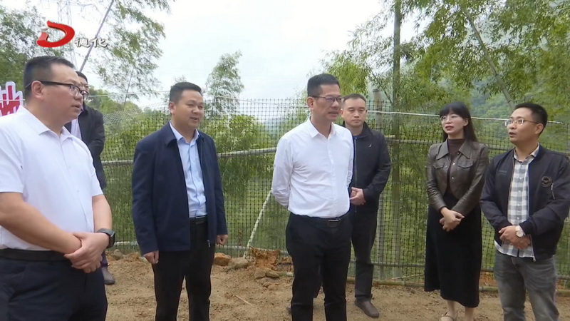 县委书记黄文捷到雷峰镇调研“挂钩帮扶”工作 - 憨鼠网