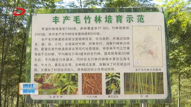 李溪村：优化林地资源 释放兴业富民新动能 - 憨鼠网
