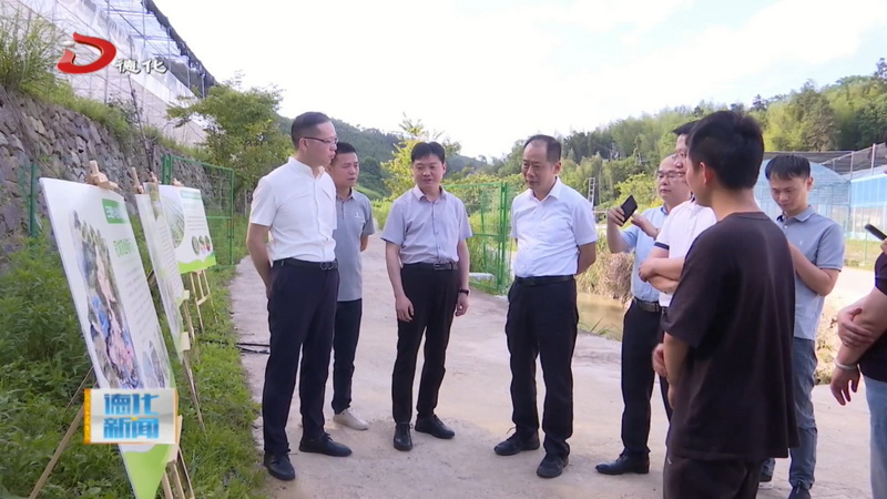 市领导到我县调研农业产业园建设工作 - 憨鼠网
