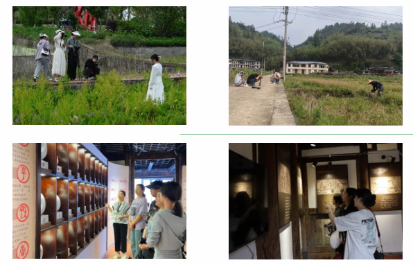 上涌镇：校地交流促提升，互学共研助发展 - 憨鼠网