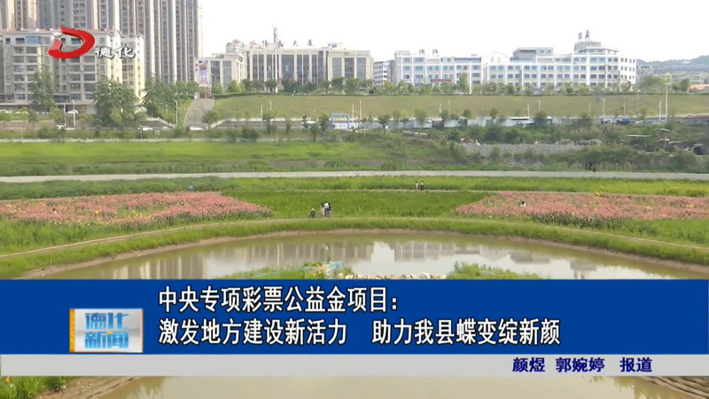中央专项彩票公益金项目：激发地方建设新活力 助力我县蝶变绽新颜 - 憨鼠网