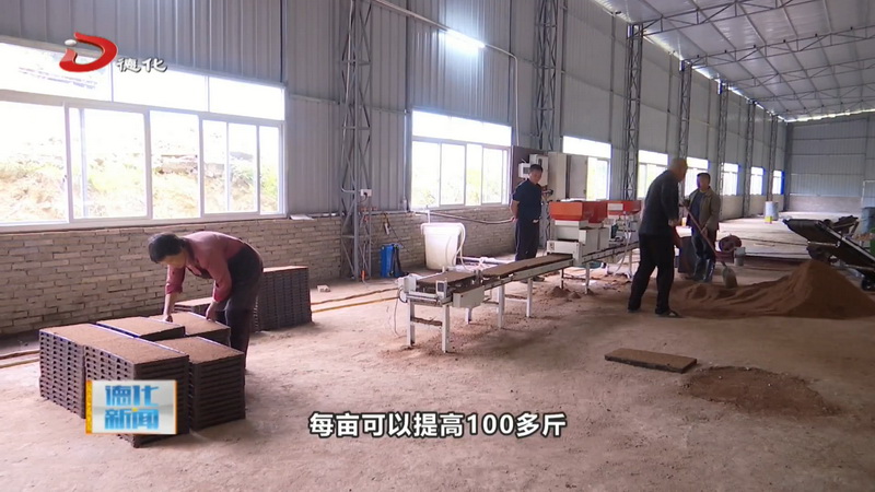 集中育秧省时省力省费用 助力粮食生产提质增效 - 憨鼠网