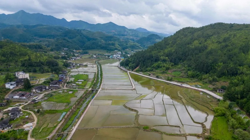 良田美景 绘就田园风光 - 憨鼠网