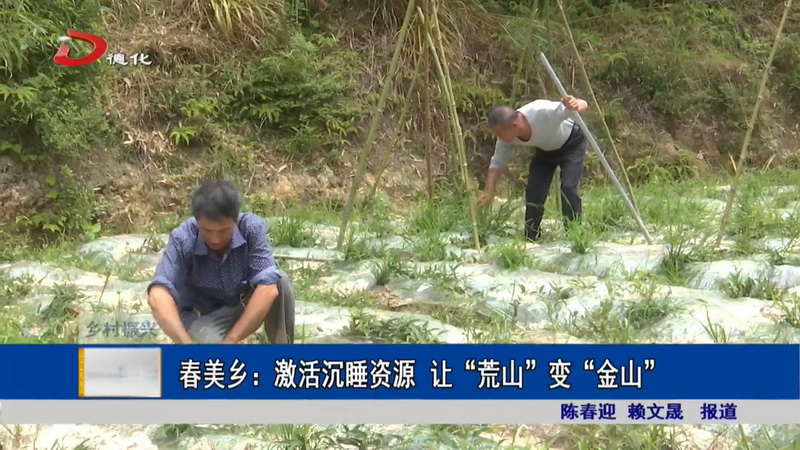 春美乡：激活沉睡资源 让“荒山”变“金山 - 憨鼠网