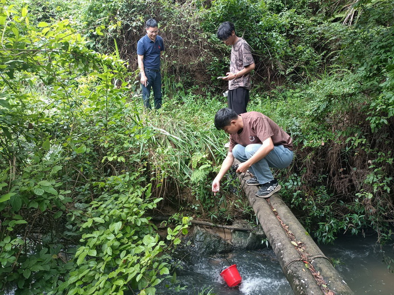 雷峰镇：全力推进水生态治理 确保绿水青山常在 - 憨鼠网