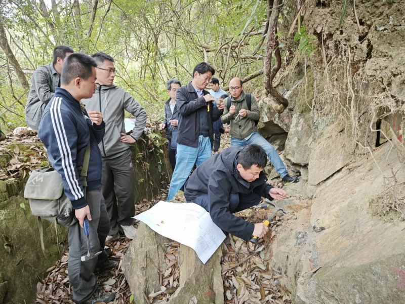 德化县杨梅地区新发现7个金矿体 - 憨鼠网
