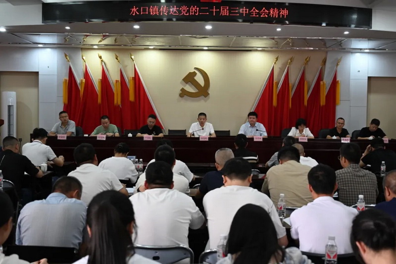 水口镇传达学习贯彻党的二十届三中全会精神 - 憨鼠网