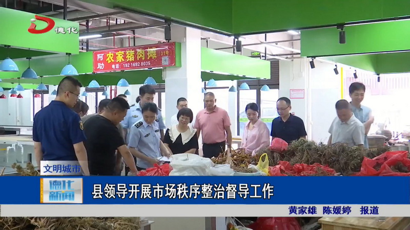 县领导开展市场秩序整治督导工作 - 憨鼠网