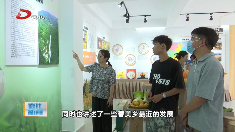 春美乡：汇聚青春力量 共绘乡村振兴新篇章 - 憨鼠网
