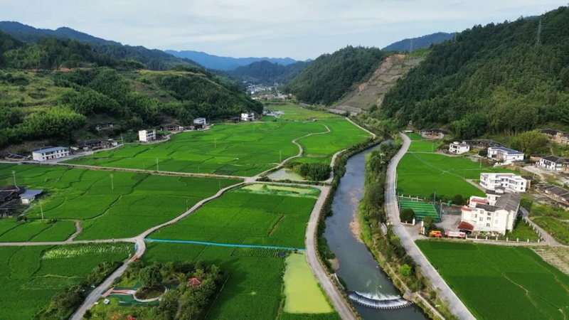 瓷韵乡情，共铸乡村振兴路 - 憨鼠网