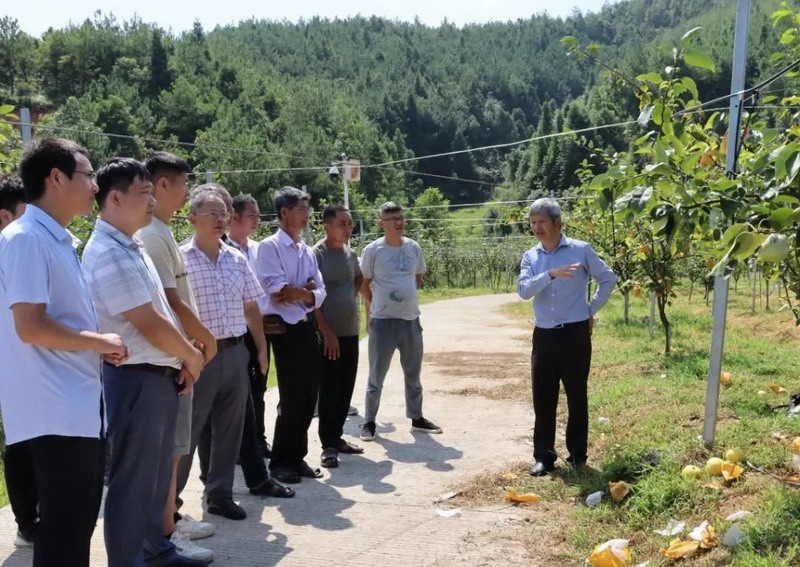 上涌镇：专家培训进田间，“传经送宝”促增收 - 憨鼠网