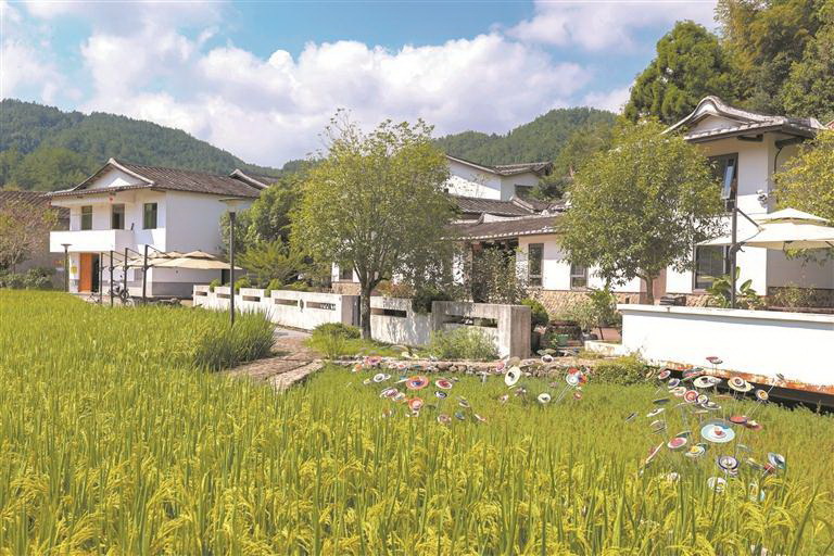 在山间乡野 看见振兴图景 - 憨鼠网