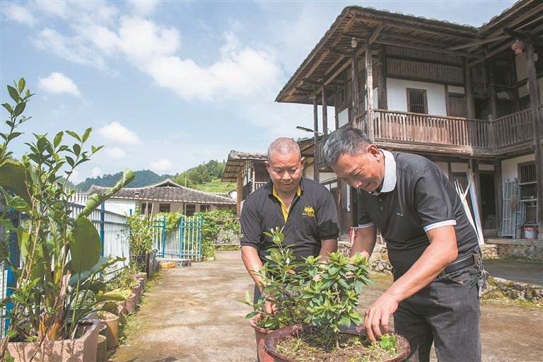 德化雷峰镇李溪村：“解码”庭院经济新路径 - 憨鼠网