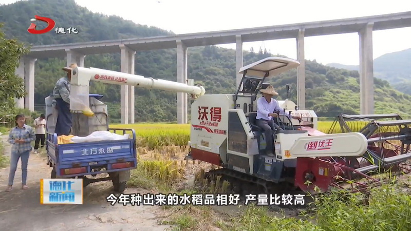 上涌镇收割今年第一批水稻机械化奏响稻田“丰收乐章” - 憨鼠网