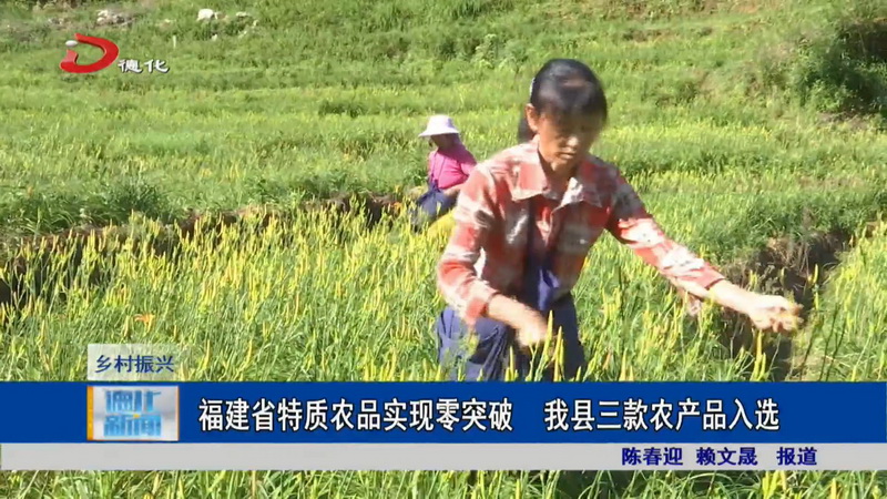 福建省特质农品实现零突破 我县三款农产品入选 - 憨鼠网