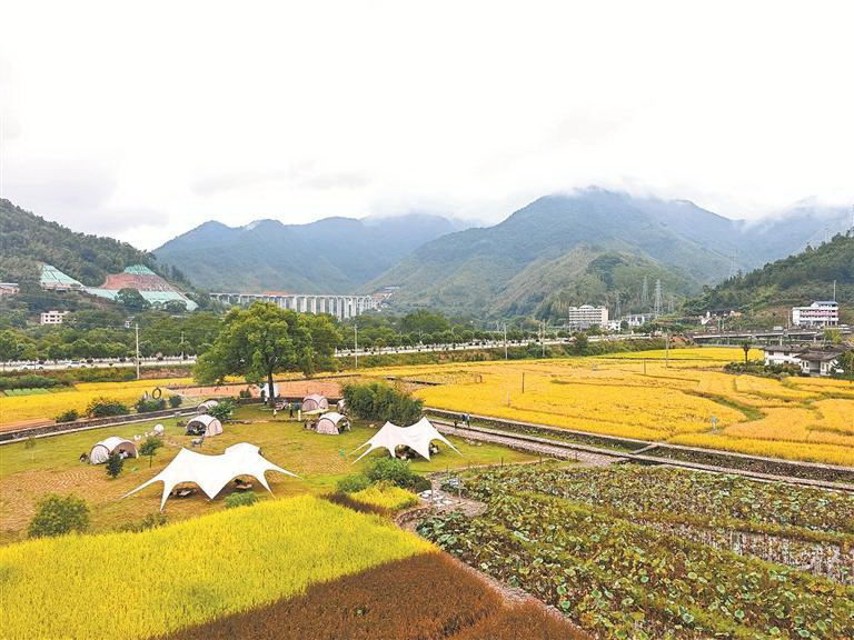 走好县域特色路 整镇推进见实效 - 憨鼠网