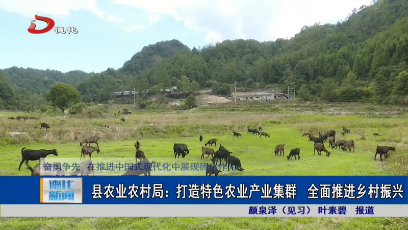 县农业农村局：打造特色农业产业集群 全面推进乡村振兴 - 憨鼠网