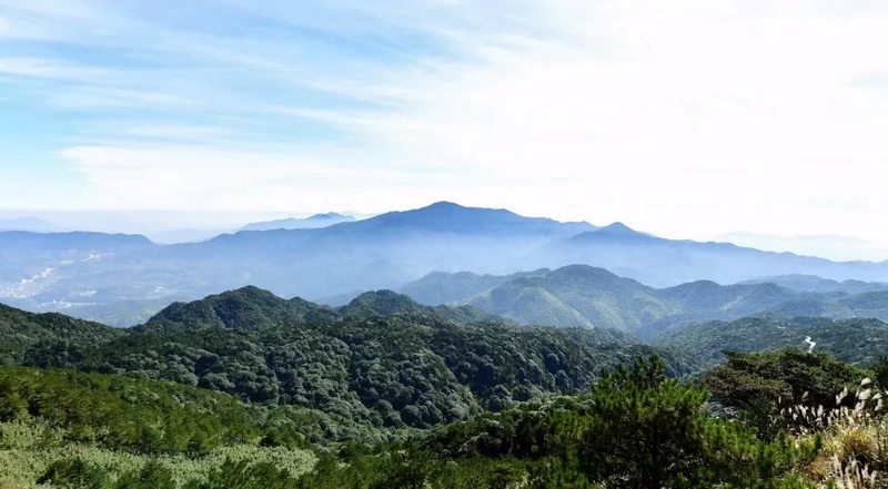 关于禁止非法进入戴云山国家级自然保护区缓冲区和核心区的通告 - 憨鼠网
