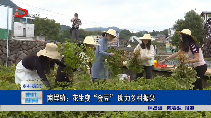 南埕镇：花生变“金豆” 助力乡村振兴 - 憨鼠网