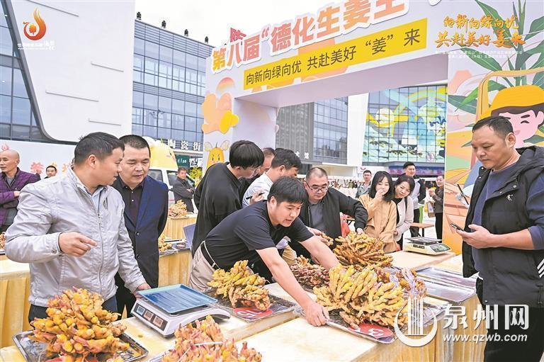 德化打响生姜农特产业品牌 西南六镇抱团 共赴美好“姜”来 - 憨鼠网