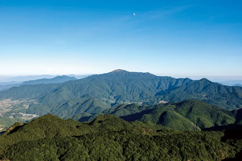 德化：探索多式联营“3+3”模式 全力打造山区林改示范样板 - 憨鼠网