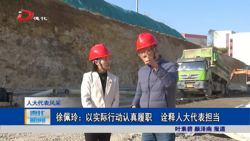 徐佩玲：以实际行动认真履职 诠释人大代表担当 - 憨鼠网