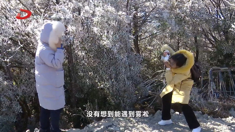 我县迎来2025年首场雾凇奇观 - 憨鼠网