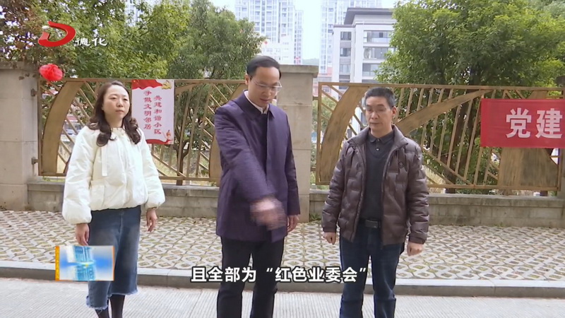 乡镇党委书记谈物业龙浔镇：“三项聚焦”精准治理擦亮小区幸福底色 - 憨鼠网