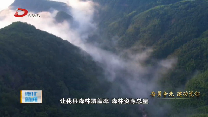 县林业局：向高攀登 逐绿前行 为建设共同富裕山区范例贡献绿色力量 - 憨鼠网