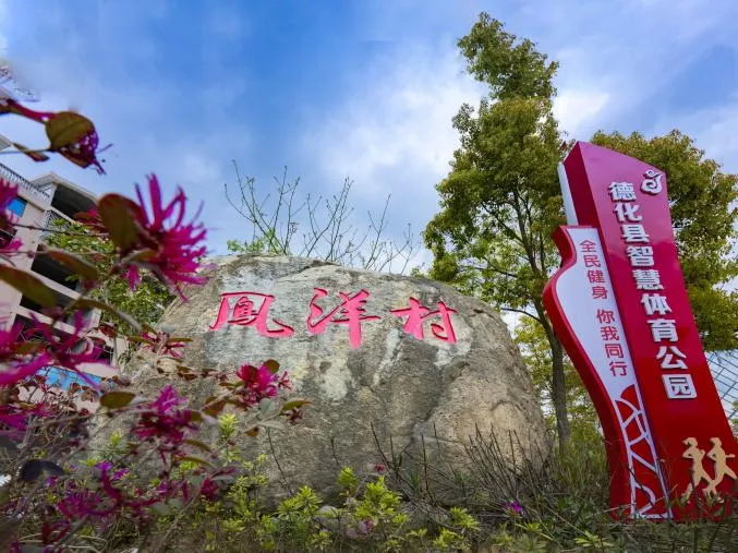 从贫困村到示范村,凤洋村的逆袭密码 - 憨鼠网