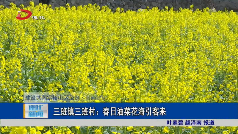 三班镇三班村：春日油菜花海引客来 - 憨鼠网